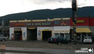 Car and dog wash