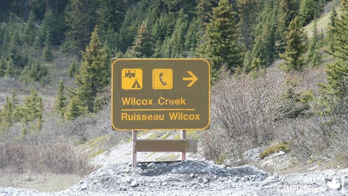Camping Wilcox Creek