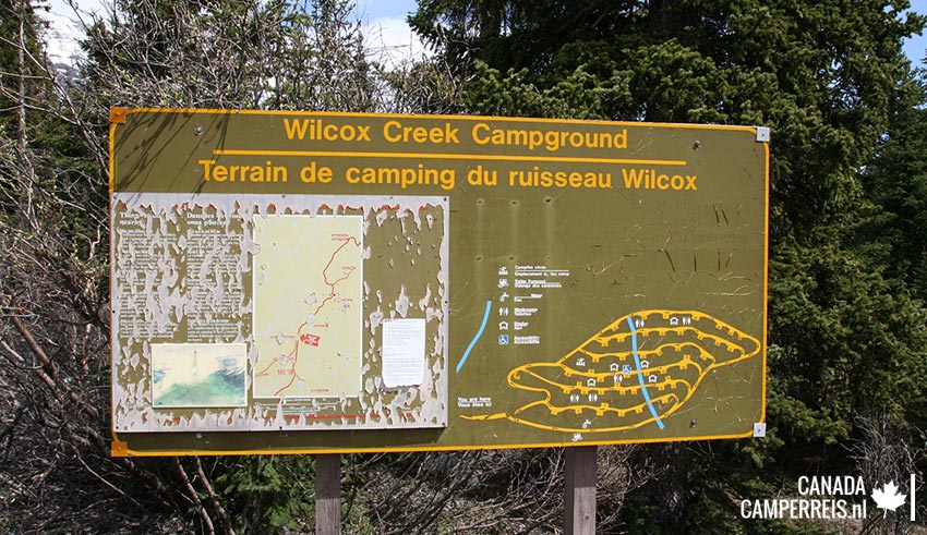 Camping Wilcox Creek